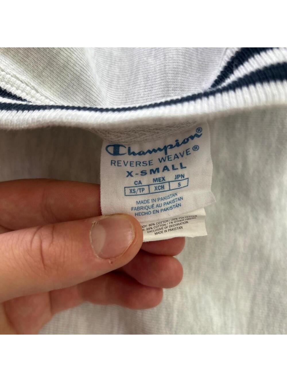 Vintage Champion Reverse Weave Holy Cross Striped Crewneck View 3